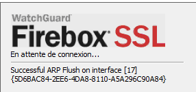 vpn-en-cours-connexion.png